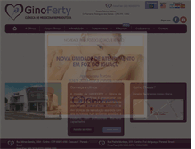 Tablet Screenshot of ginoferty.com.br